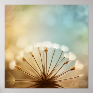 Affiche Dandelion Dreams III