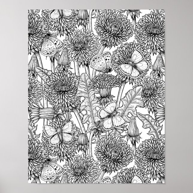 Affiche Dandelion meadow in black and white (Devant)
