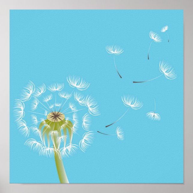 Affiche Dandelion sky blue and white art (Devant)