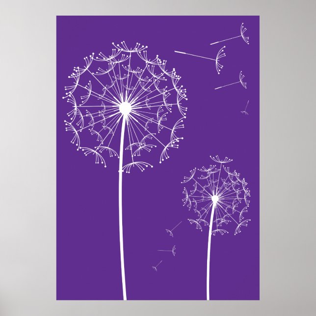 Affiche dandelion violet (Devant)