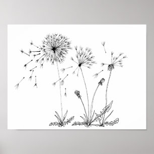 Affiche Dandelions