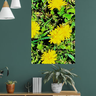 Affiche Dandelions De Montagne Photo Ottawa Canada