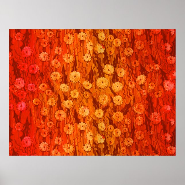 Affiche Dandelions Field Fleurs été Rouge Orange Ombre P (Devant)