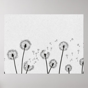 Affiche Dandelions Fleurs Pappus Spores Gris