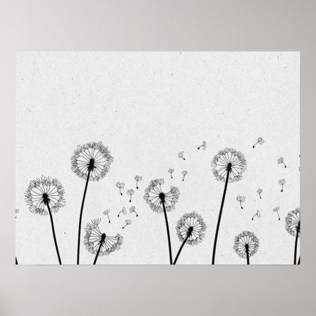 Affiche Dandelions Fleurs Pappus Spores Gris (Devant)