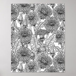 Affiche Dandelions, noir et blanc
