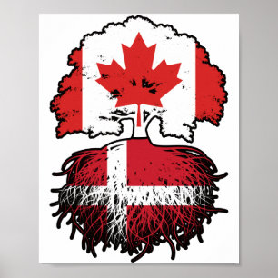 Affiche Danemark Danemark Danemark Canada drapeau des raci