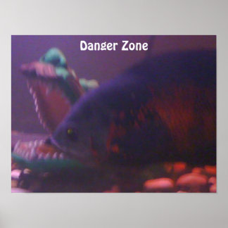 Affiche Danger Zone
