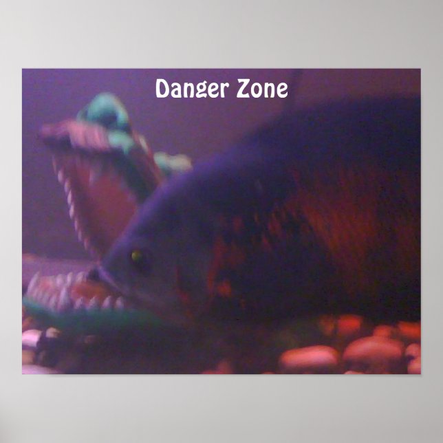 Affiche Danger Zone (Devant)
