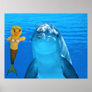 Affiche Danni la Sirène et ami dauphin
