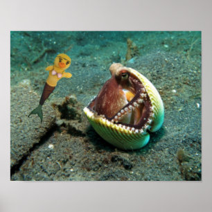 Affiche Danni l'affiche de la sirène