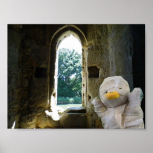 Affiche Danny Duck la maman