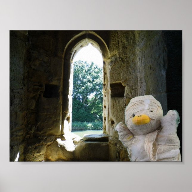 Affiche Danny Duck la Momie (Devant)