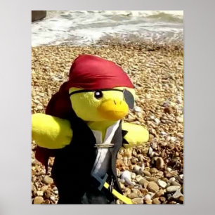 Affiche Danny Duck le Pirate