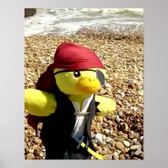 Affiche Danny Duck le Pirate (Devant)