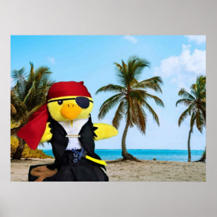 Affiche Danny Duck le Pirate.