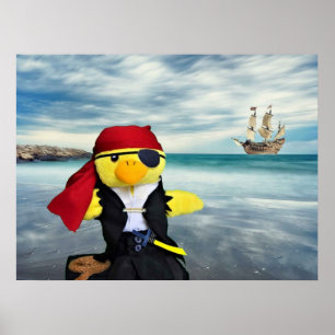 Affiche Danny Duck le Pirate.