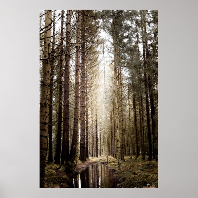 AFFICHE DANS LA FORÊT (Devant)