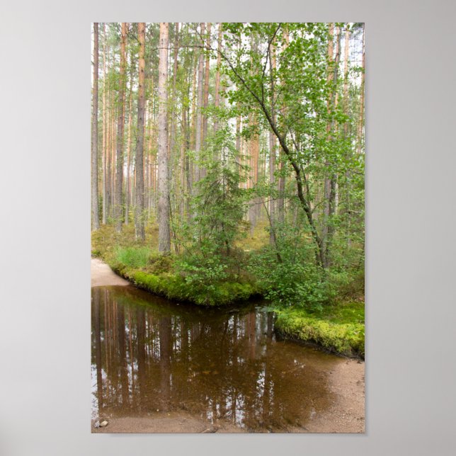 Affiche Dans la forêt après la pluie (Devant)