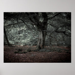 Affiche Dans la forêt de conte de fées