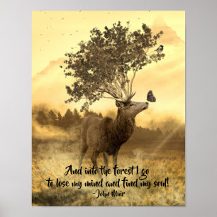 Affiche Dans la forêt je vais, John Muir Nature Citation