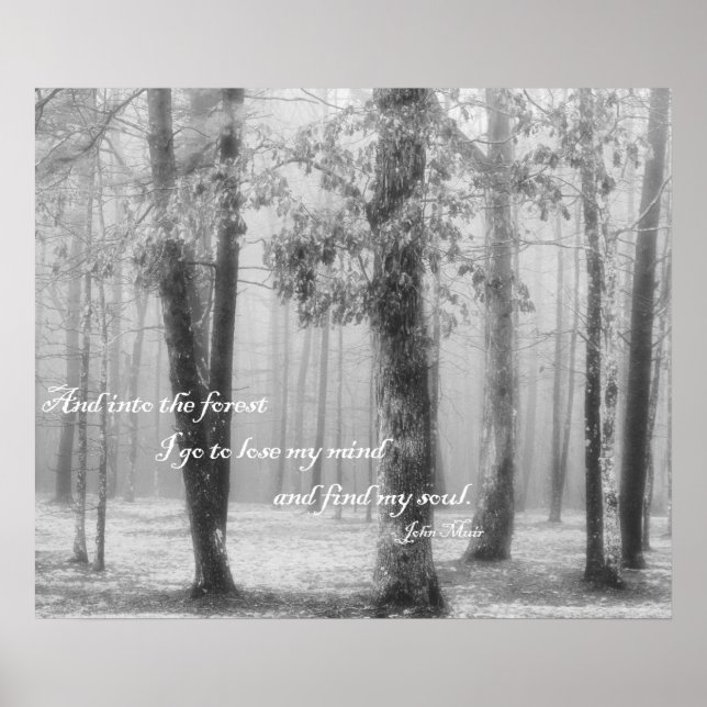 Affiche Dans la forêt je vais ... Trouver mon âme (Devant)