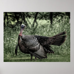 Affiche Dans la forêt - Sage Green B&W