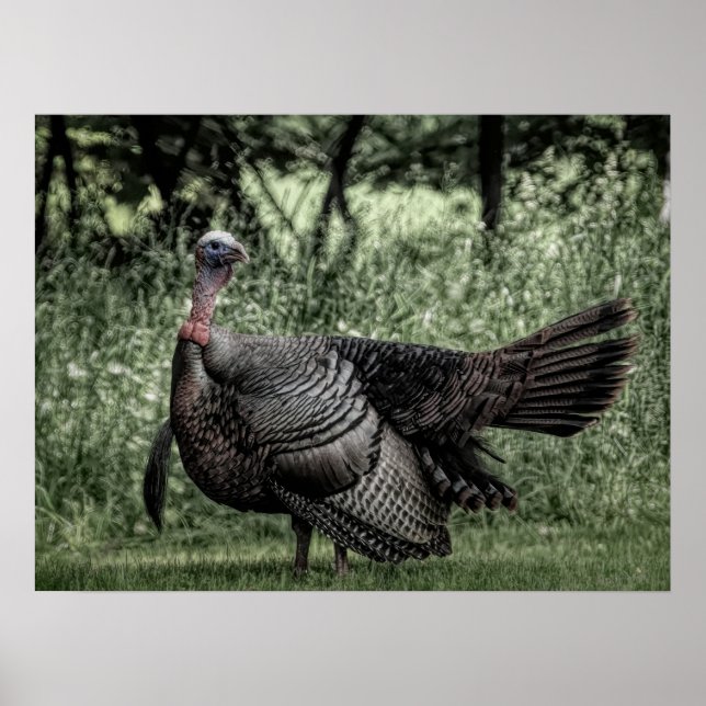 Affiche Dans la forêt - Sage Green B&W (Devant)