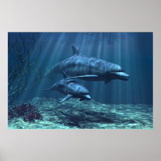 Affiche Dans la lumière