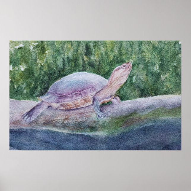 Affiche Dans la tortue plomb (Devant)