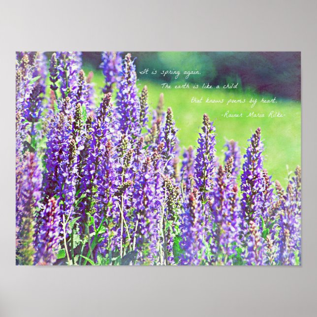 Affiche dans la vallée de violet (Devant)