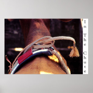 Affiche Dans Le Chute