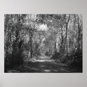 Affiche "Dans les bois"