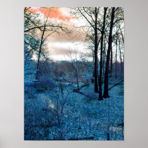 Affiche Dans les bois