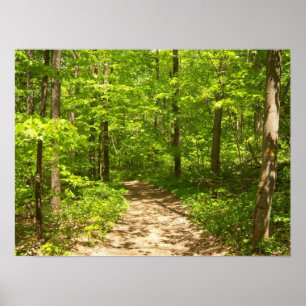Affiche Dans les bois