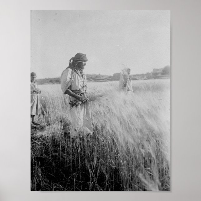 Affiche Dans les champs de Boaz à Bethléem (Devant)
