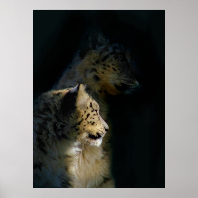 Affiche Dans les ombres (Devant)