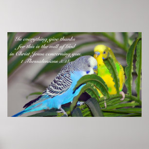 Affiche Dans tout donnez les mercis