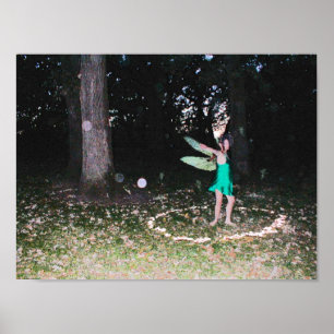 Affiche Danse de féerie