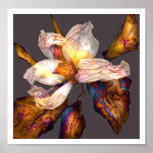 Affiche Danse de fleur