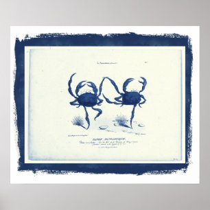 Affiche Danse Fantastique, 1829 dans un cadre noir (remix