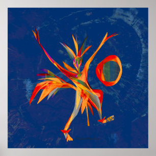 Affiche Danse stellaire