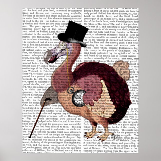 Affiche Dapper Dodo (Devant)