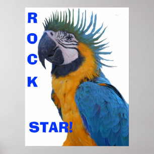 Affiche d'ara de vedette du rock