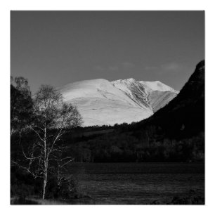 Affiche d'arbre de bouleau et de Blencathra