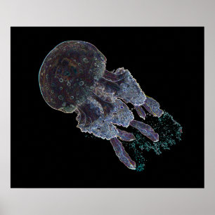Affiche Dark Art Jellyfish par J.W. Fatherree.