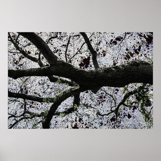 Affiche Dark Art Tree Branches par J.W. Fatherree. (Devant)