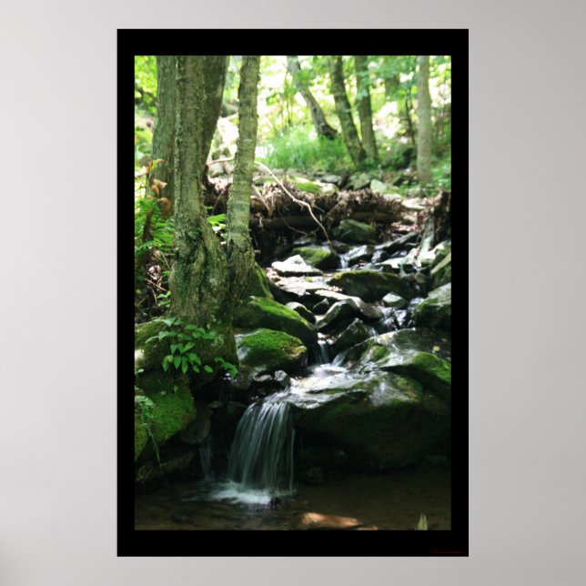 Affiche Dark Hollow Falls Imprimer #4836 (Devant)