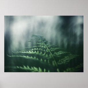 Affiche Dark Moody Fern photo nature