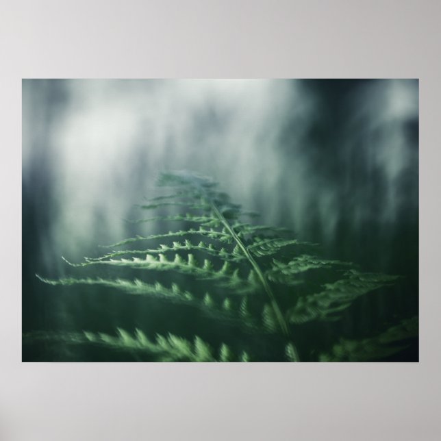 Affiche Dark Moody Fern photo nature (Devant)